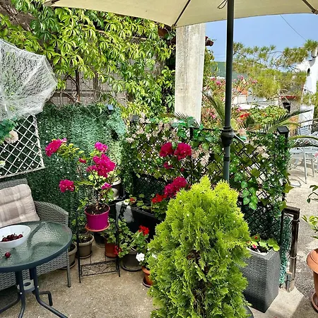 Apartment студио виви с двор