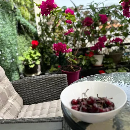 студио виви с двор Apartment *
